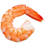 Shrimp Icon
