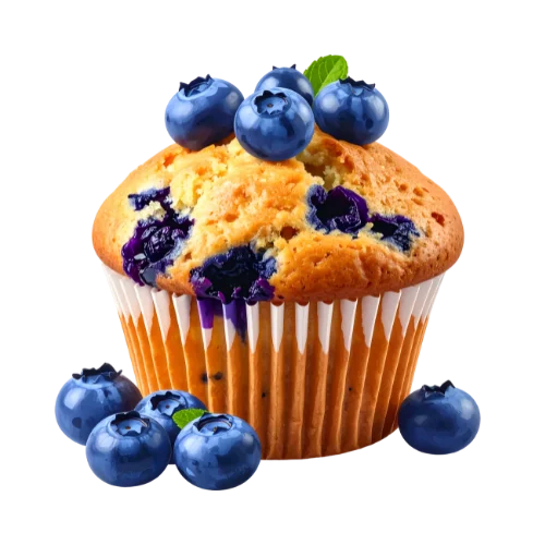 Blueberry Protein Muffins Homemade