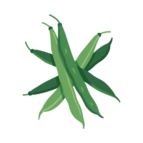 Chinese String Bean Chicken icon